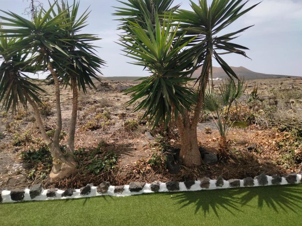Lanzarote Casa Volcanica-Anclada Sobre La Lava Del Volcan Montana Blanca المظهر الخارجي الصورة