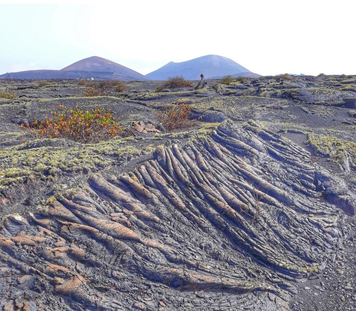 Lanzarote Casa Volcanica-Anclada Sobre La Lava Del Volcan Montana Blanca المظهر الخارجي الصورة
